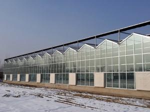 玻璃连栋温室的使用优点